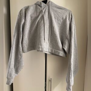 Alo Gray Cropped Hoodie